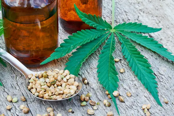 CBD油,大麻种子和叶子。