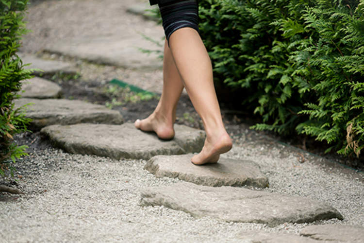 苗期土壤发芽了。