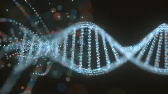 双螺旋DNA