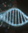 双螺旋DNA概念。