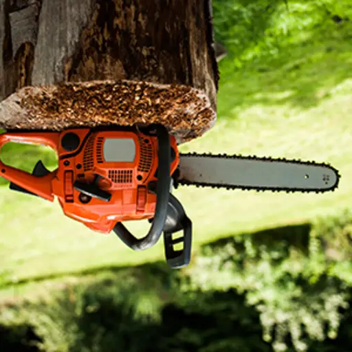 Chainsaw on a stump upside down.