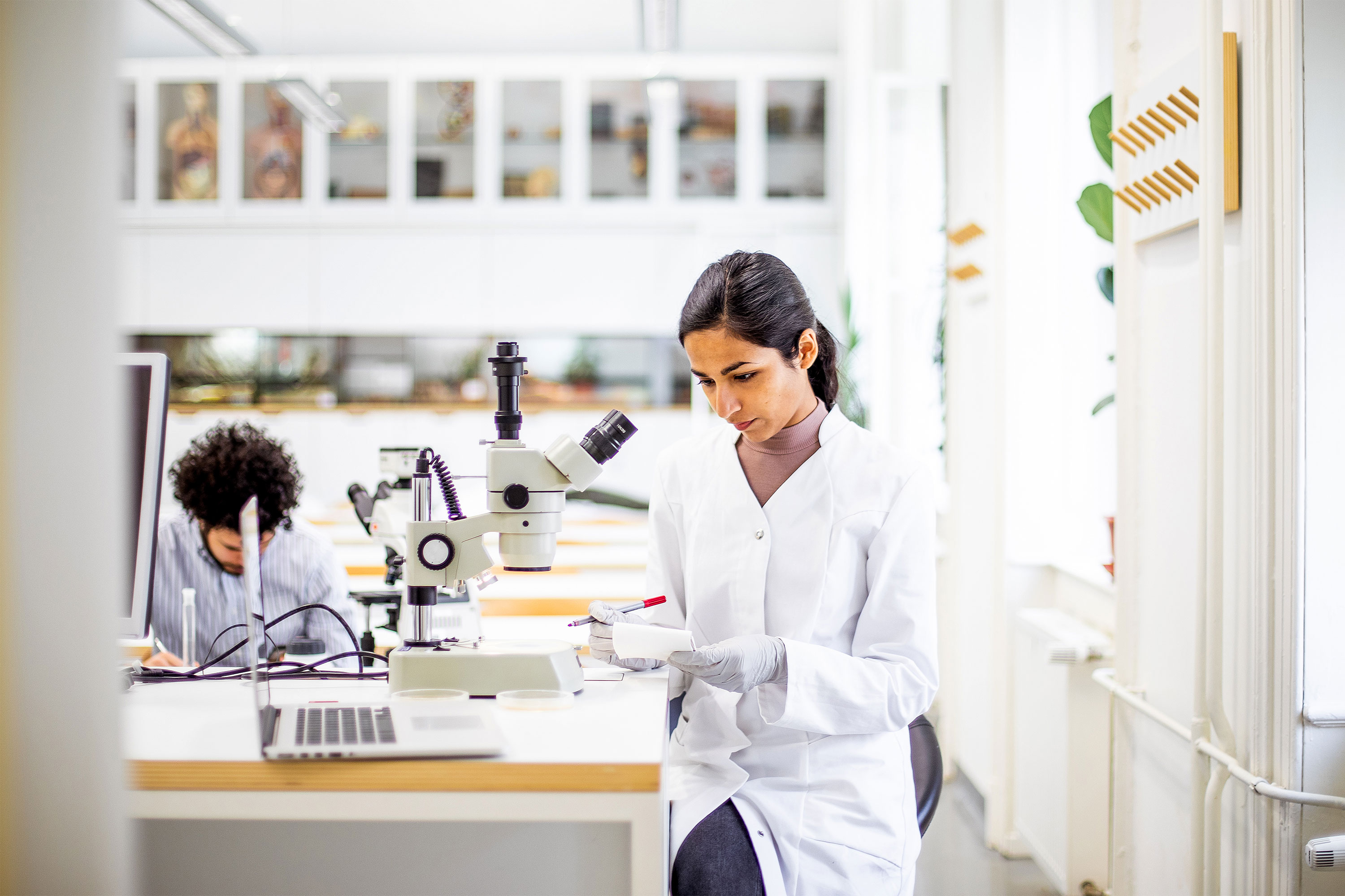 Scientists work in a laboratory