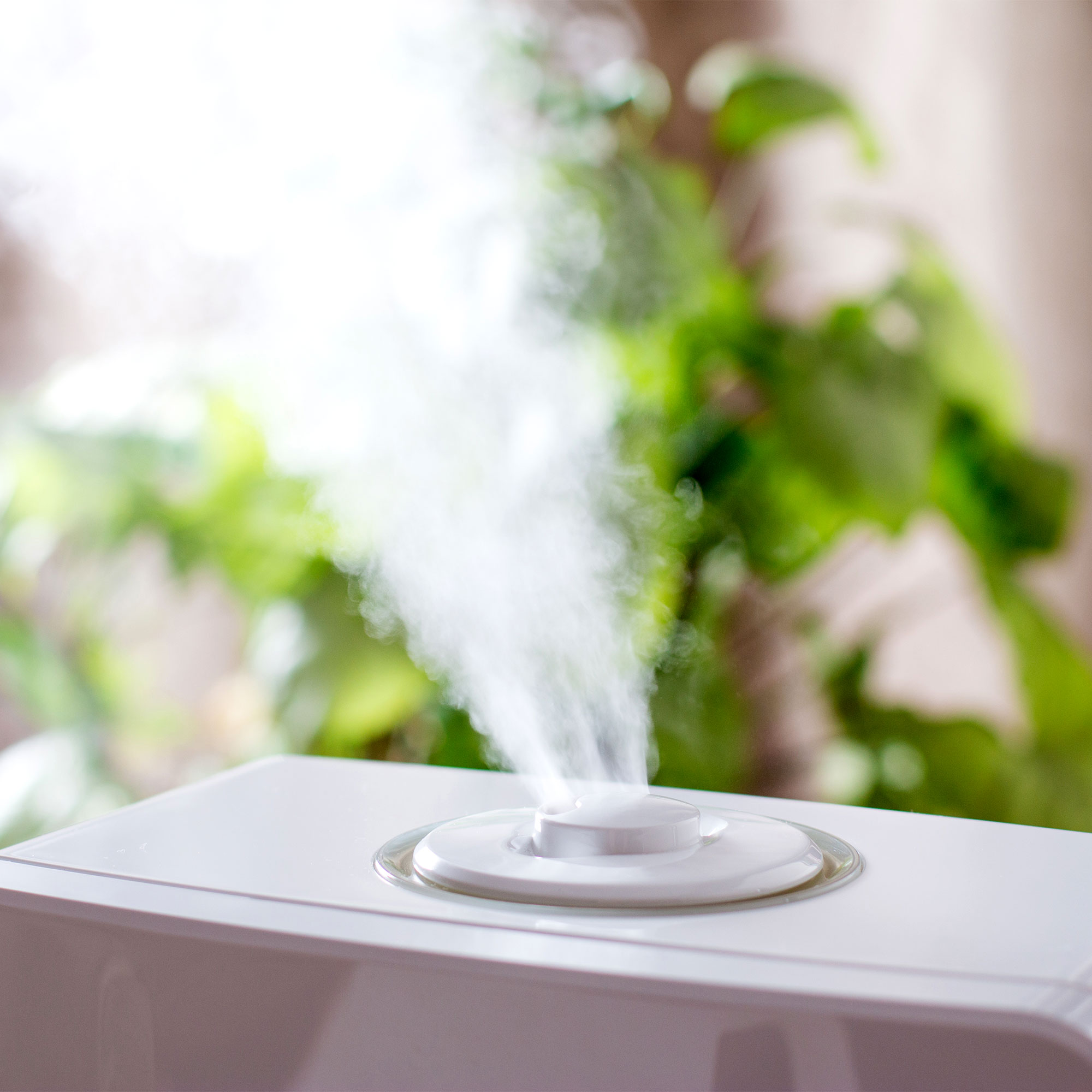 房子里的加湿器