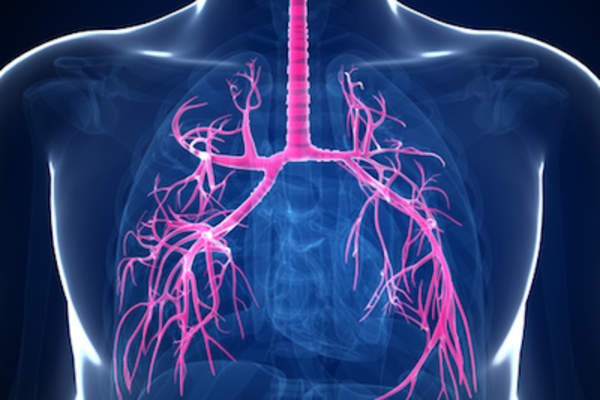 支气管突出的肺