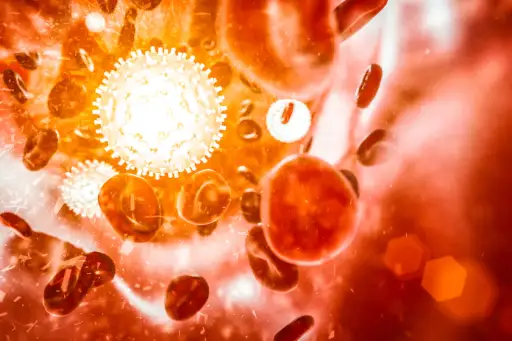 白细胞和红细胞的数字渲染。