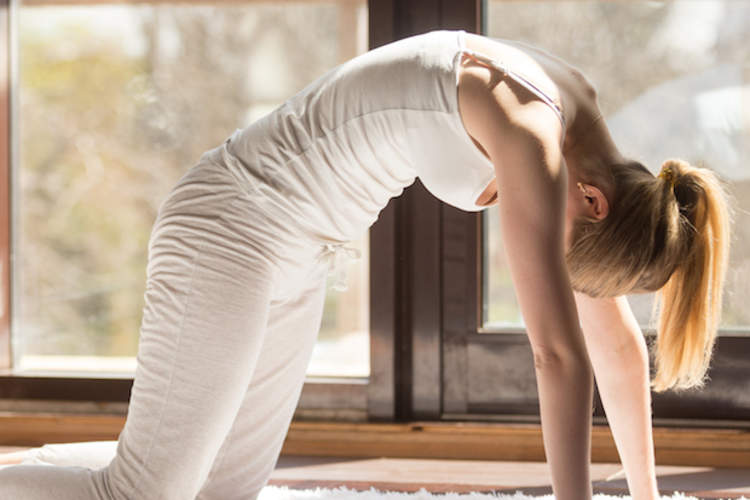 女人在猫的姿势