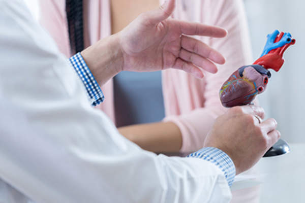 心脏病学家与心脏模型交谈的病人。