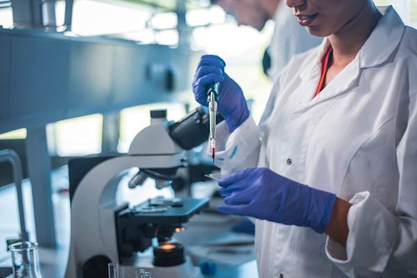 科学家在实验室将血液滴在载玻片上