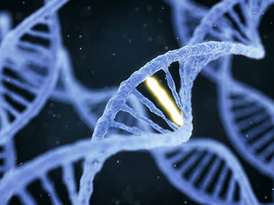 DNA上的基因突变。