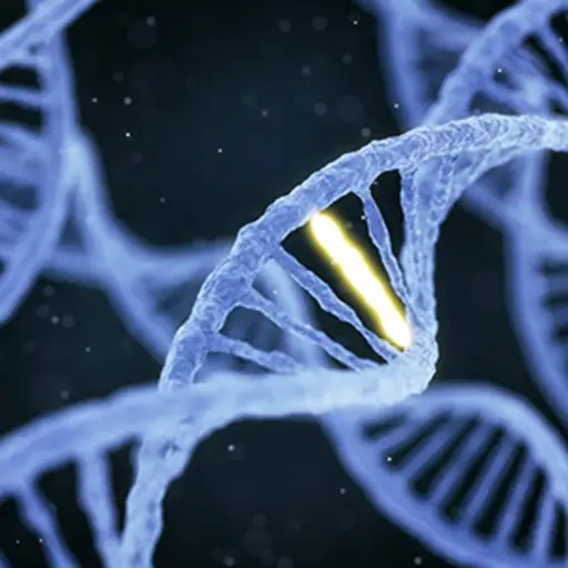 DNA上的遗传突变。