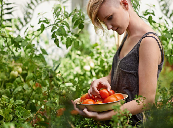 女人在做园艺，手里提着一篮子西红柿