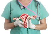 生殖道的护士拿着模型。