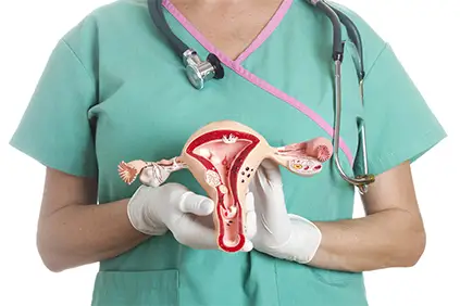 护士抱着生殖道模型。