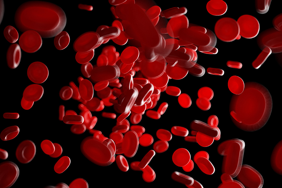 红细胞