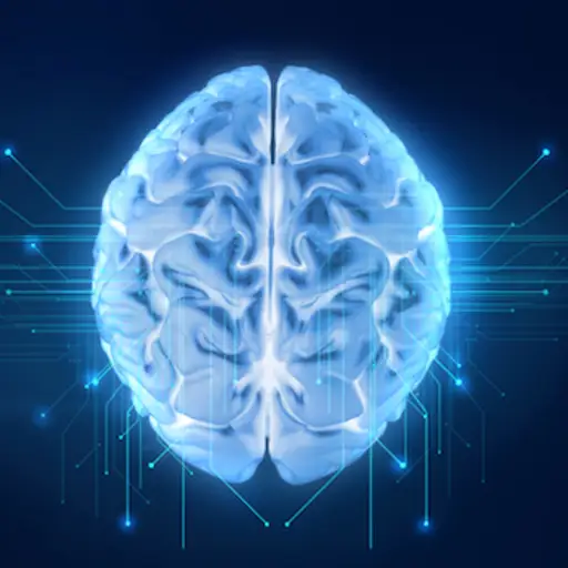 人类大脑的数字渲染。