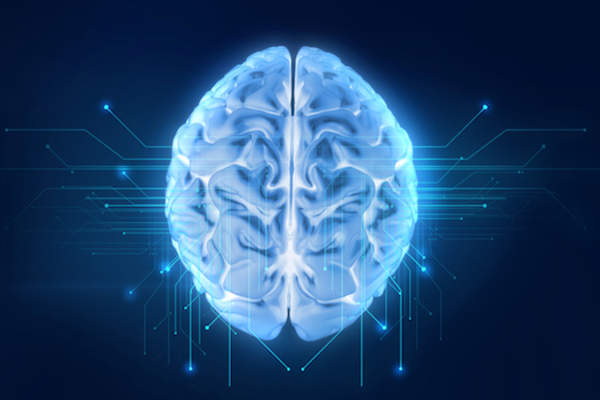 人类大脑的数字呈现。