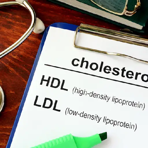 LDL HDL.