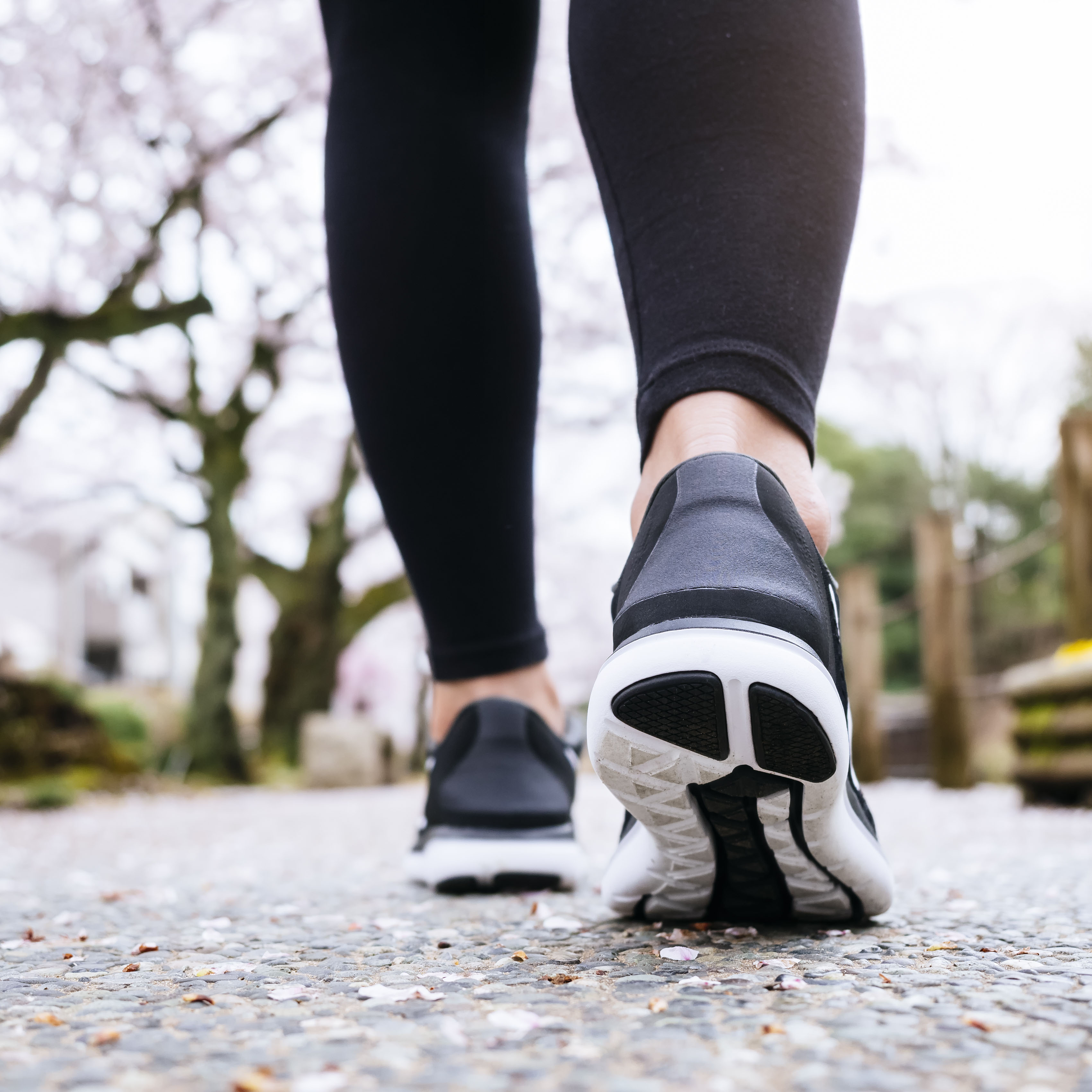 女子腿运动鞋散步公园户外樱花日本樱花旅游