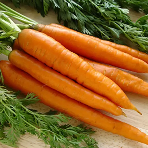 Carrots