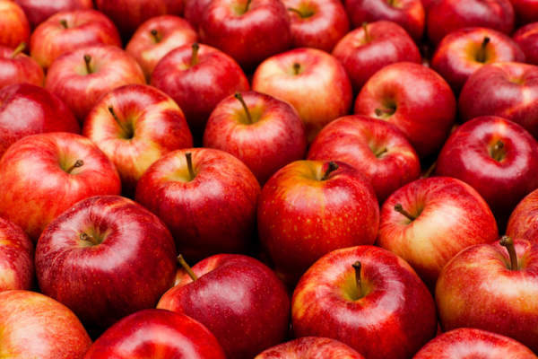 皇家节日红苹果的特写
