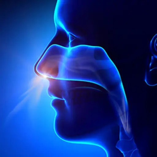 头部有呼吸通道。