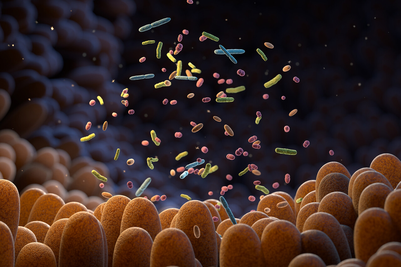 Are GLP-1 Drugs Safe With Crohn's Disease?