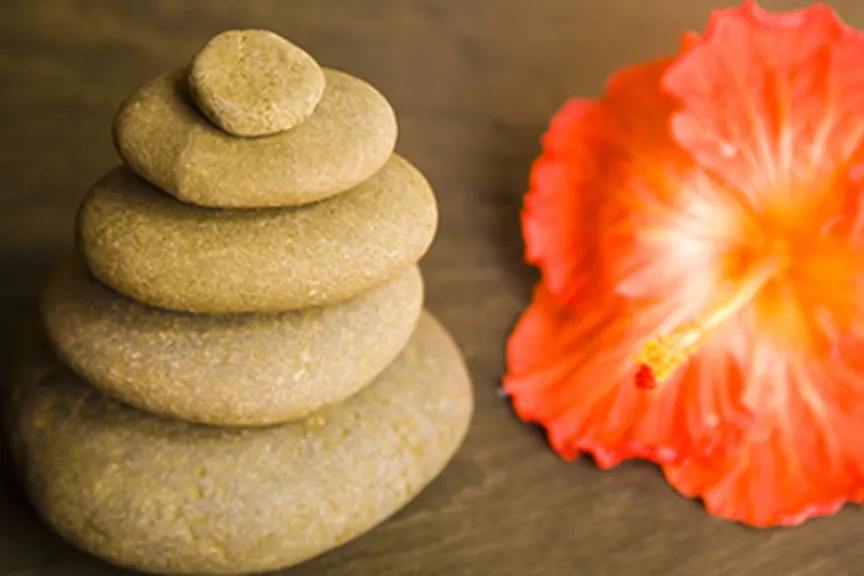 平衡的石头和花。