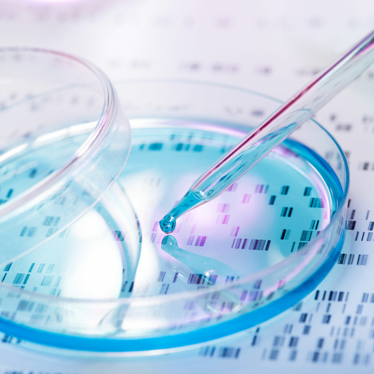 近距离观察培养皿和DNA