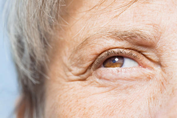 高级女特写眼睛和脸。