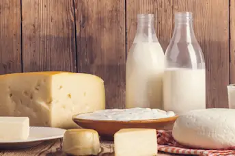 Full fat dairy products are OK to eat on the DASH diet.
