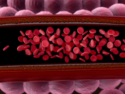 红细胞中脉