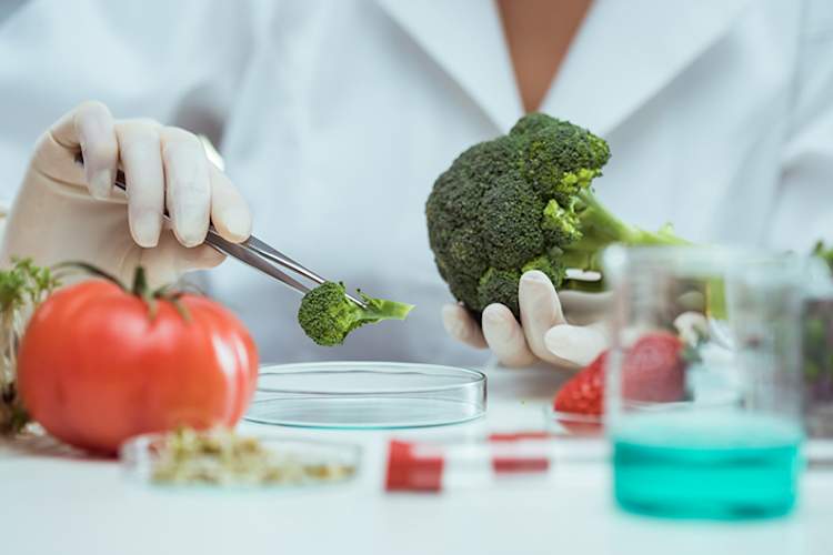 做营养研究的科学家。