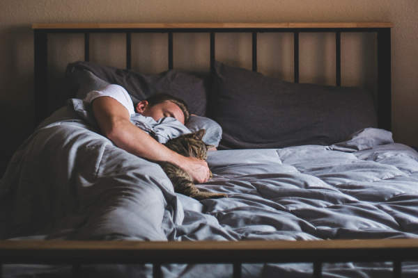 男人和猫一起睡在床上