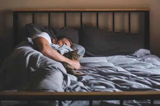 男人和猫睡在一起