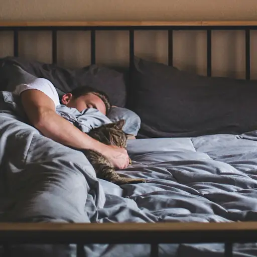 男人和猫睡在床上