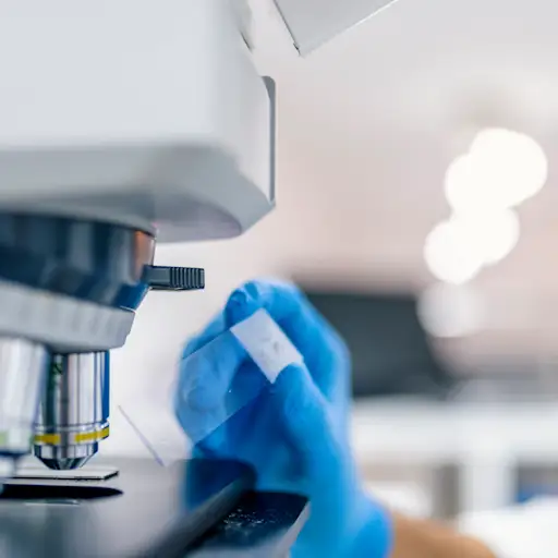 科学家把载玻片放入显微镜