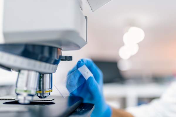 科学家把载玻片放入显微镜