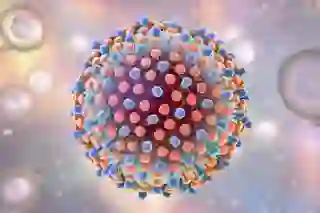 Hepatitis C virus