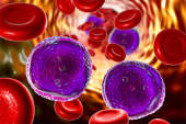 所有癌细胞和红细胞。