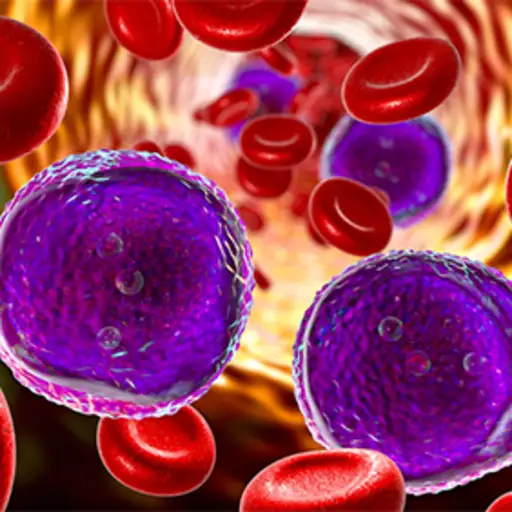 所有的癌细胞和红细胞。