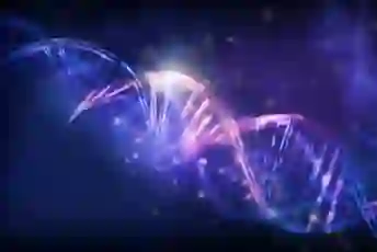 一个3 d演示的DNA