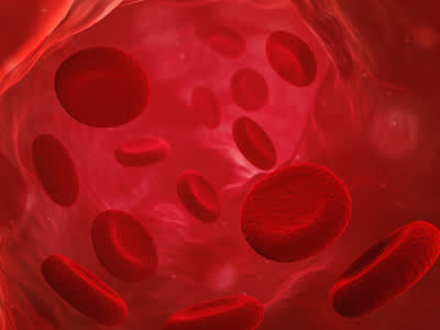 红细胞。