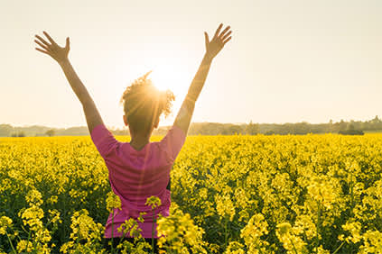 年轻的女子带着健康的背影，在一片黄花丛中。