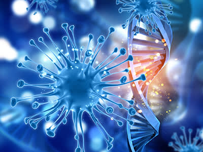 癌细胞和DNA。