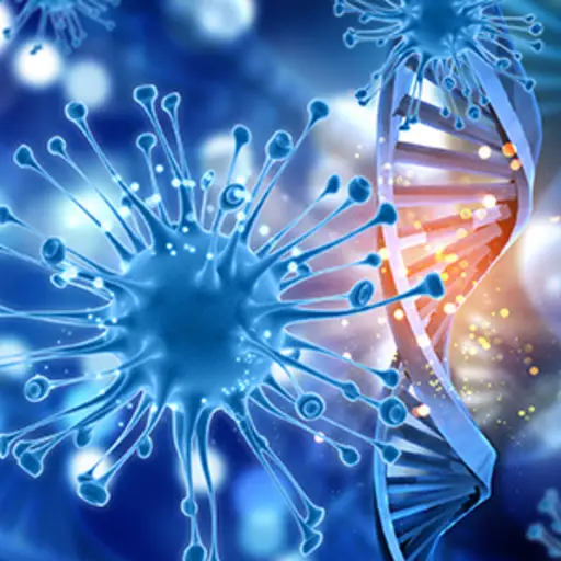 Cancer cells and DNA.