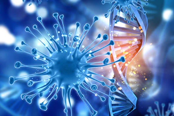 癌细胞和DNA。