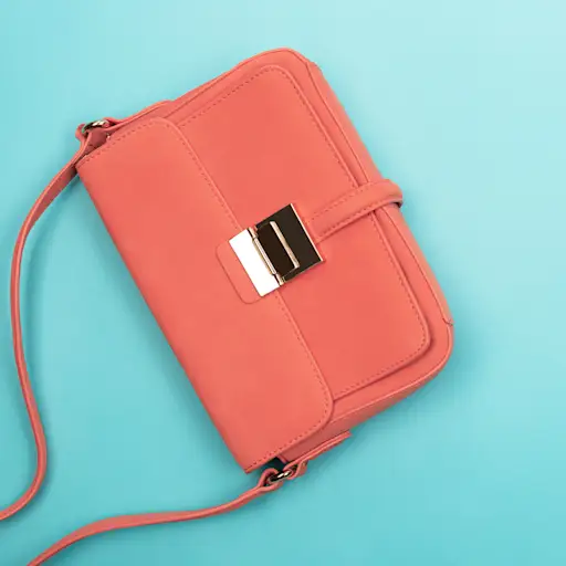 small purse