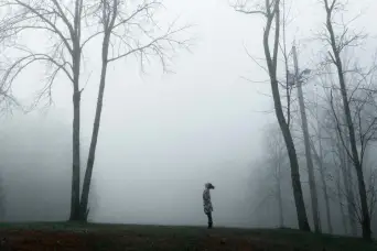 woman in the fog in the woods