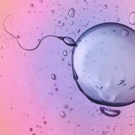 精子和卵子的观点