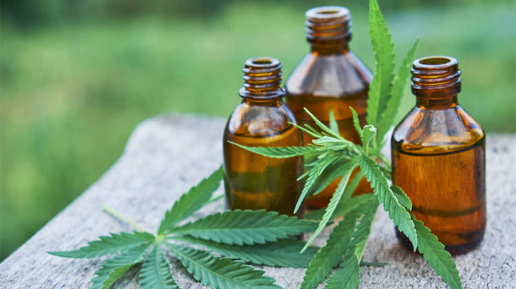 大麻二酚(CBD)油和大麻叶，替代治疗RA疼痛。